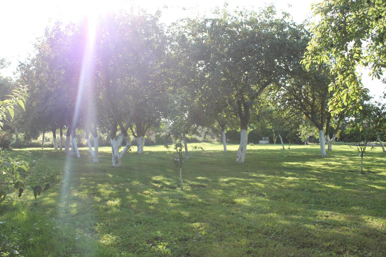 Saint-Martin-de-Varreville Chambre D'Hotes Le Domaine De La Vallee מראה חיצוני תמונה